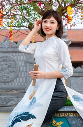 坐在树下穿着白色奥黛旗袍的美女图片